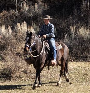 horse rental near meeker colorado